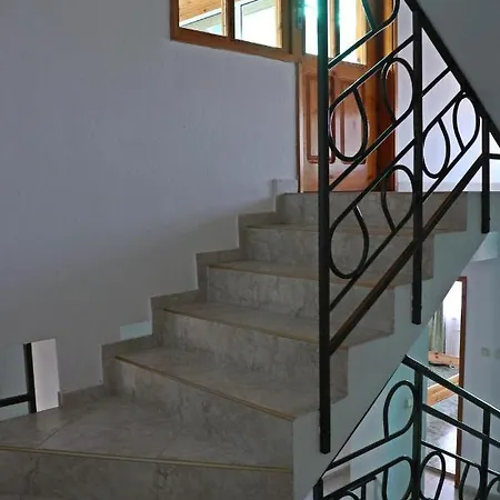 Kostadinovi 3*